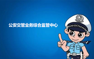 公安交警业务综合监管中心解决方案